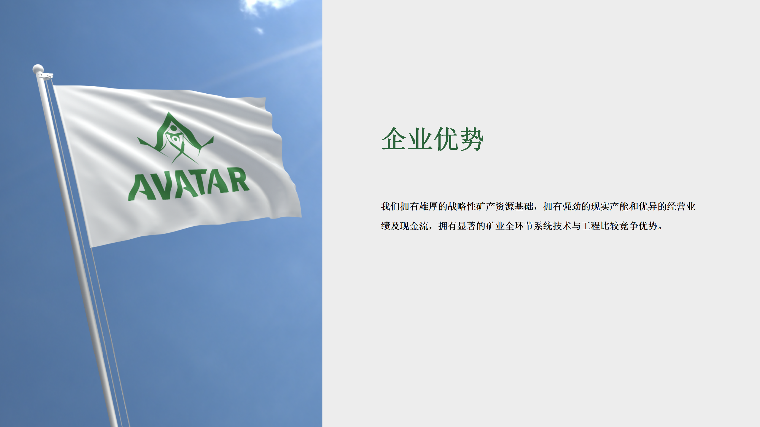 企业愿景